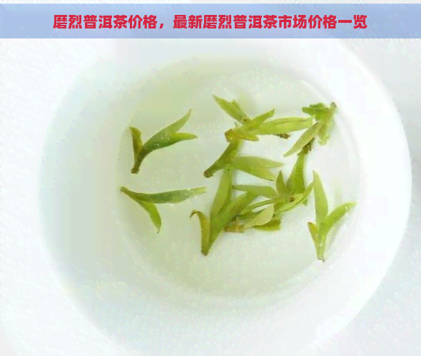 磨烈普洱茶价格，最新磨烈普洱茶市场价格一览