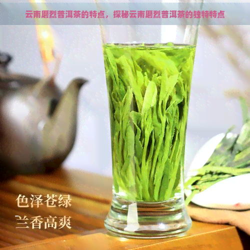 云南磨烈普洱茶的特点，探秘云南磨烈普洱茶的独特特点