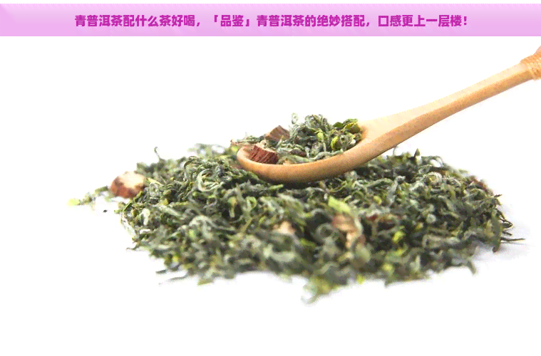 青普洱茶配什么茶好喝，「品鉴」青普洱茶的绝妙搭配，口感更上一层楼！