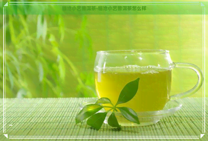 临沧小艺普洱茶-临沧小艺普洱茶怎么样