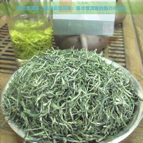 临沧普洱茶，探寻云南风味：临沧普洱茶的魅力与文化