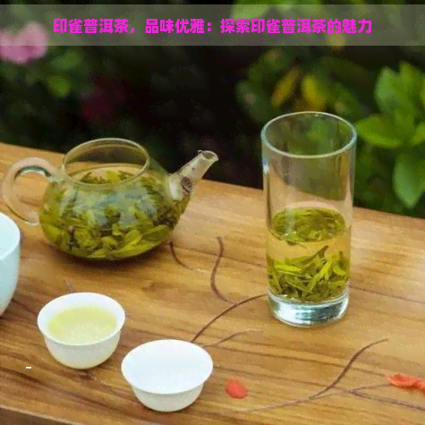 印雀普洱茶，品味优雅：探索印雀普洱茶的魅力