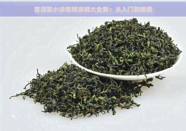 普洱茶小谈视频讲解大全集：从入门到精通