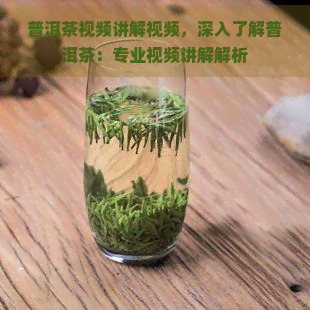 普洱茶视频讲解视频，深入了解普洱茶：专业视频讲解解析