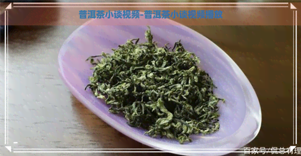 普洱茶小谈视频-普洱茶小谈视频播放