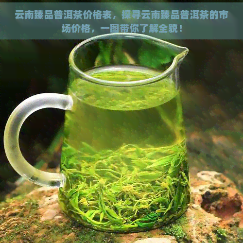 云南臻品普洱茶价格表，探寻云南臻品普洱茶的市场价格，一图带你了解全貌！