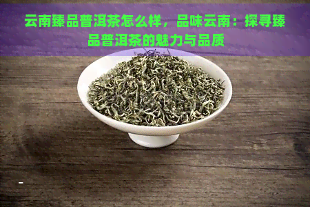 云南臻品普洱茶怎么样，品味云南：探寻臻品普洱茶的魅力与品质