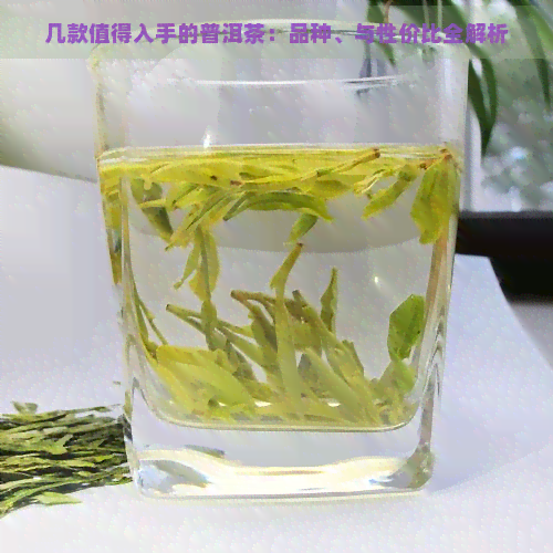 几款值得入手的普洱茶：品种、与性价比全解析