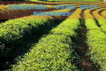 普洱茶开技巧图解，一步步图解：如何打开普洱茶的神秘面纱？