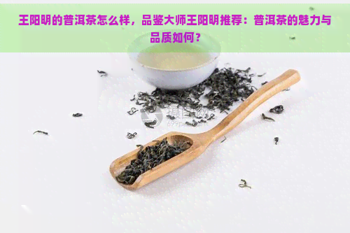 王阳明的普洱茶怎么样，品鉴大师王阳明推荐：普洱茶的魅力与品质如何？