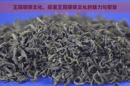 王阳明茶文化，探索王阳明茶文化的魅力与智慧