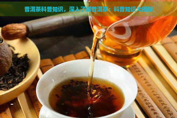 普洱茶科普知识，深入了解普洱茶：科普知识大揭秘