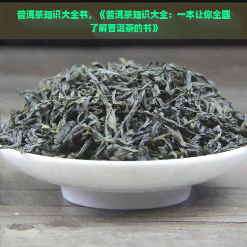 普洱茶知识大全书，《普洱茶知识大全：一本让你全面了解普洱茶的书》