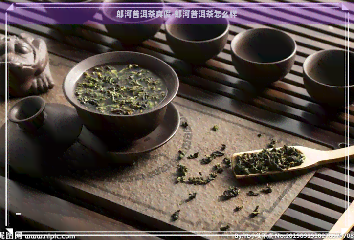 郎河普洱茶真假-郎河普洱茶怎么样