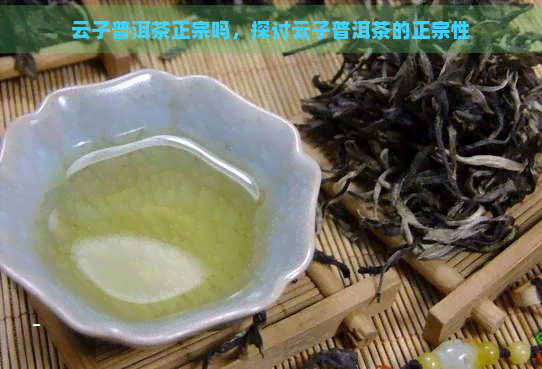 云子普洱茶正宗吗，探讨云子普洱茶的正宗性