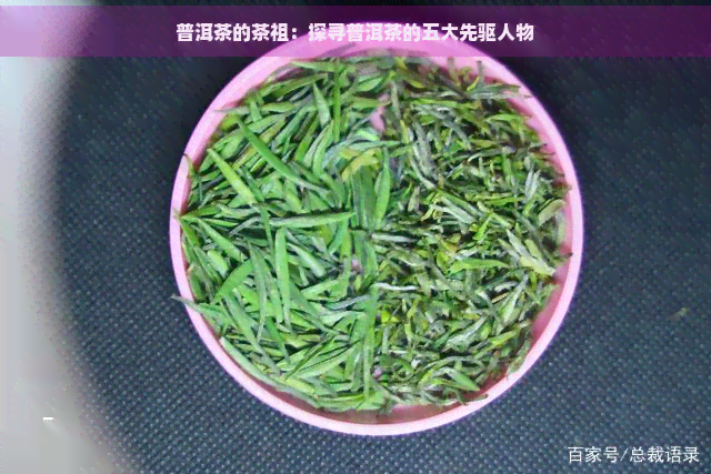 普洱茶的茶祖：探寻普洱茶的五大先驱人物