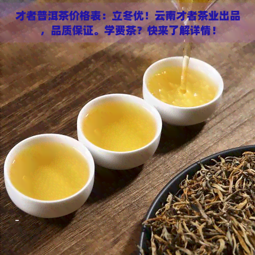 才者普洱茶价格表：立冬优！云南才者茶业出品，品质保证。学费茶？快来了解详情！