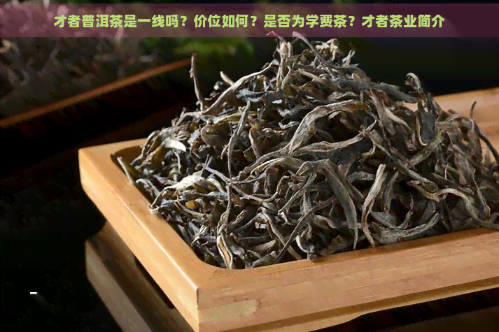 才者普洱茶是一线吗？价位如何？是否为学费茶？才者茶业简介