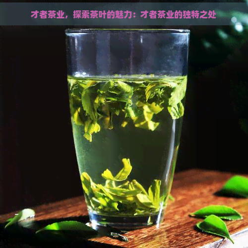 才者茶业，探索茶叶的魅力：才者茶业的独特之处