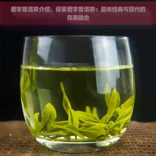 君享普洱茶介绍，探索君享普洱茶：品味经典与现代的完美融合