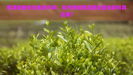 普洱茶放在车里会坏吗，车内存放普洱茶是否会影响其品质？