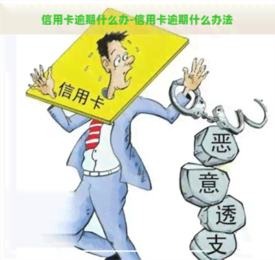 信用卡逾期什么办-信用卡逾期什么办法