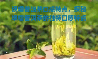 坝糯普洱茶口感特点，探秘坝糯普洱茶的独特口感特点