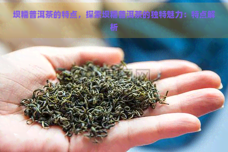 坝糯普洱茶的特点，探索坝糯普洱茶的独特魅力：特点解析