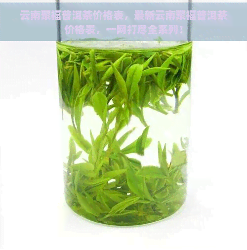 云南聚福普洱茶价格表，最新云南聚福普洱茶价格表，一网打尽全系列！