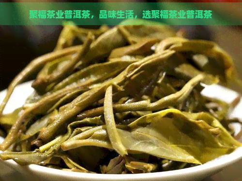 聚福茶业普洱茶，品味生活，选聚福茶业普洱茶