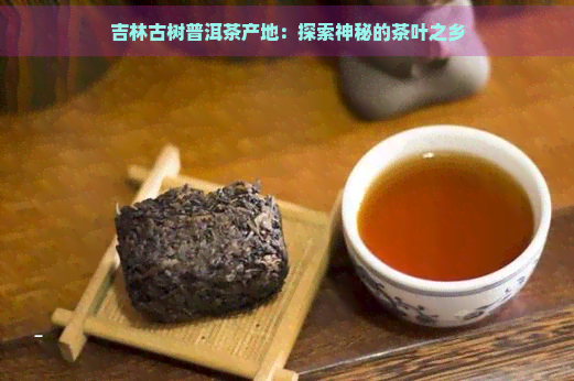 吉林古树普洱茶产地：探索神秘的茶叶之乡