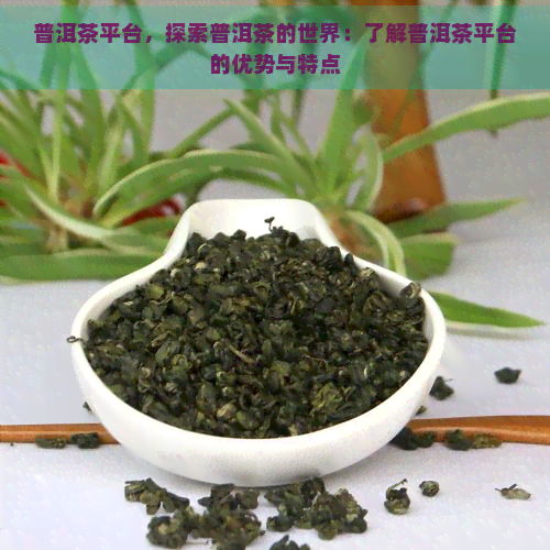 普洱茶平台，探索普洱茶的世界：了解普洱茶平台的优势与特点