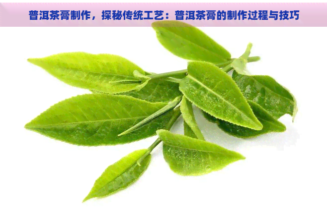 普洱茶膏制作，探秘传统工艺：普洱茶膏的制作过程与技巧