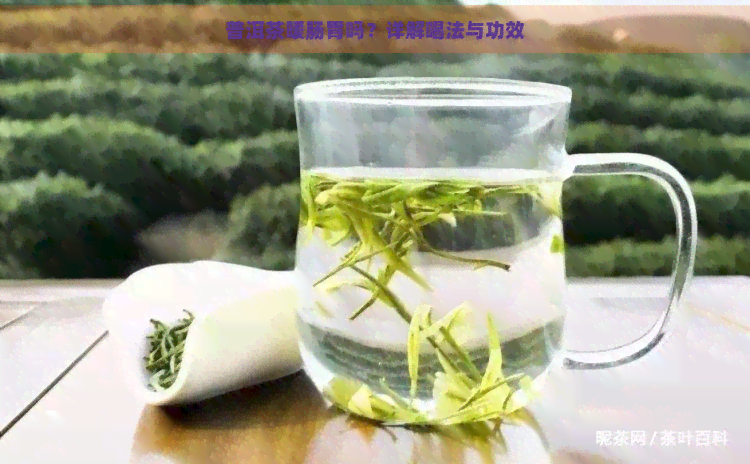 普洱茶暖肠胃吗？详解喝法与功效