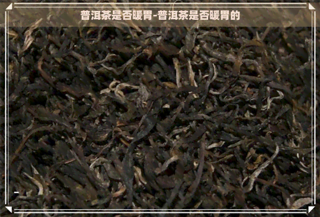 普洱茶是否暖胃-普洱茶是否暖胃的