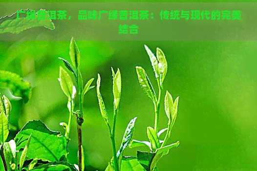 广缘普洱茶，品味广缘普洱茶：传统与现代的完美结合