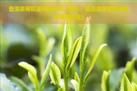 普洱茶用铜壶吗能泡吗，探讨：普洱茶是否适合使用铜壶冲泡？