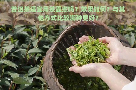 普洱茶适宜用茶壶煮吗？效果如何？与其他方式比较哪种更好？