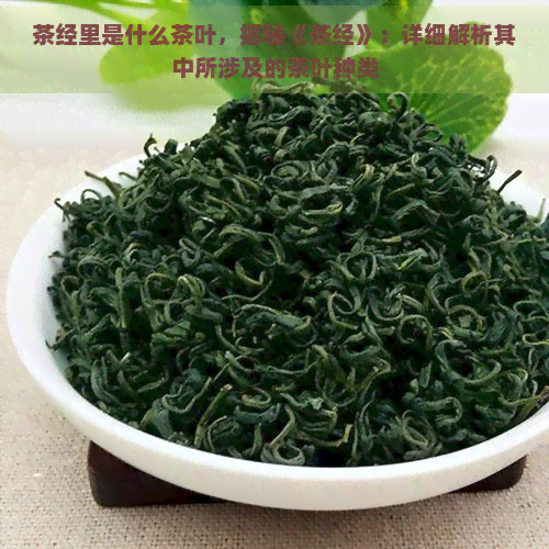 茶经里是什么茶叶，揭秘《茶经》：详细解析其中所涉及的茶叶种类