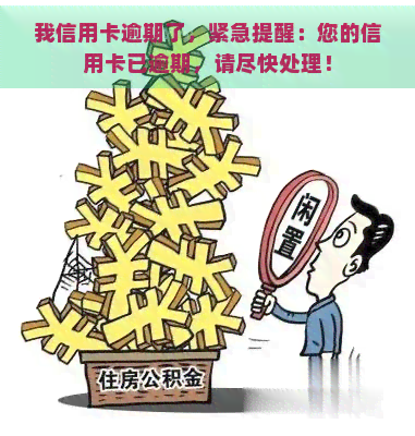 我信用卡逾期了，紧急提醒：您的信用卡已逾期，请尽快处理！