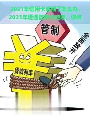 2021年信用卡逾期了怎么办，2021年遭遇信用卡逾期，你该怎么做？