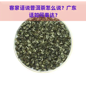 客家话说普洱茶怎么说？广东话如何表达？