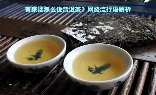 客家话怎么说普洱茶？网络流行语解析