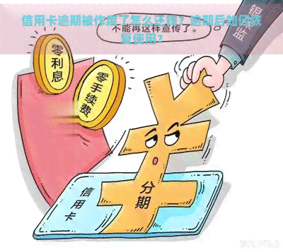 信用卡逾期被作废了怎么还钱？逾期后如何恢复使用？