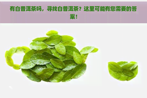 有白普洱茶吗，寻找白普洱茶？这里可能有您需要的答案！