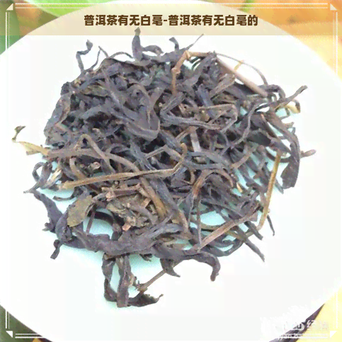 普洱茶有无白毫-普洱茶有无白毫的