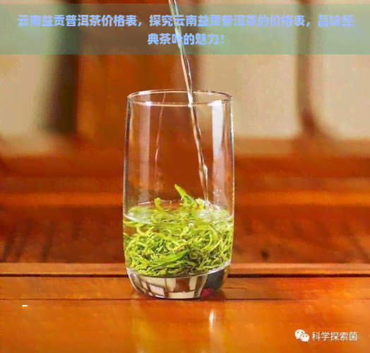 云南益贡普洱茶价格表，探究云南益贡普洱茶的价格表，品味经典茶叶的魅力！