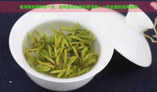 普洱茶选哪种好一点，如何选择优质的普洱茶？一份全面的选购指南