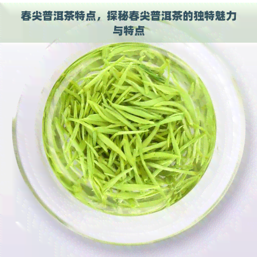 春尖普洱茶特点，探秘春尖普洱茶的独特魅力与特点