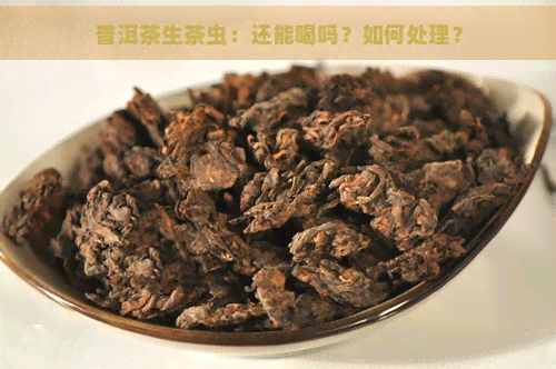 普洱茶生茶虫：还能喝吗？如何处理？